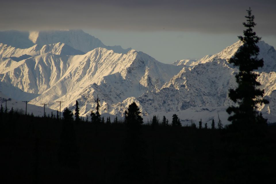 Snowy mountain range at sunset with silhouetted pine trees in the foreground