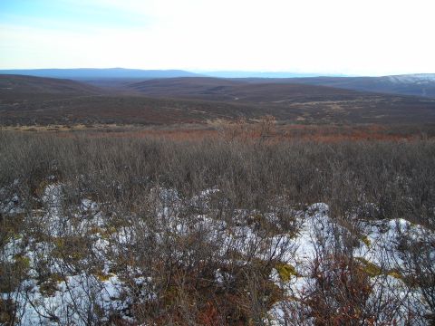 2003 Jeep TJ - A vast, undeveloped landscape stretches out with rolling hills covered in sparse vegetation and scattered snow patches.