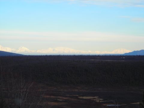 2003 Jeep TJ - A vast landscape snow-covered mountains stretching across the horizon, viewed over a dense, dark forest.