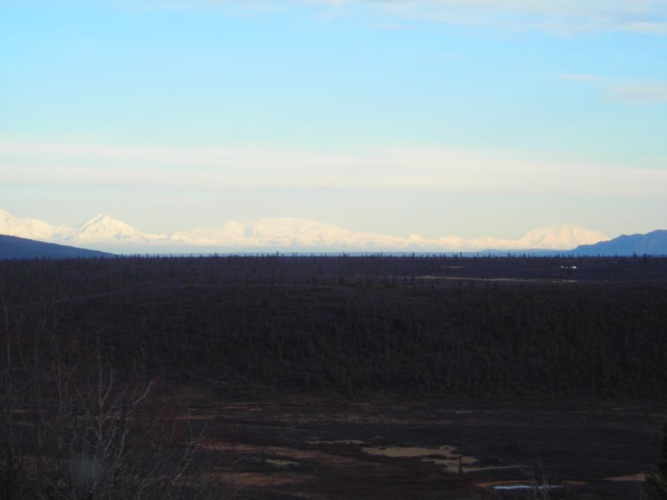 Snow-capped mountains visible across a dark forest under a pale blue sky