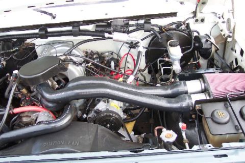 1991 Ford F-150 - Clean!