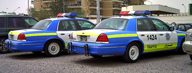 Police car with blue and white livery, yellow and green stripe, number 1424, parked next to another police car
