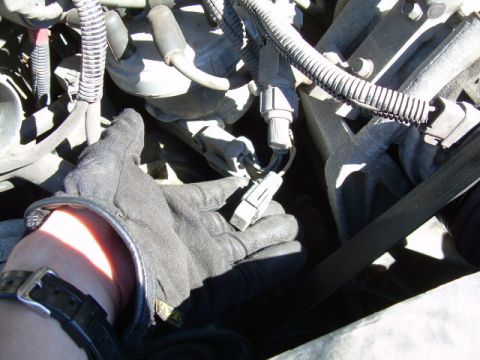 1988 Ford Bronco - Close-up of a hand in a black glove disconnecting an electrical connector in an engine bay.