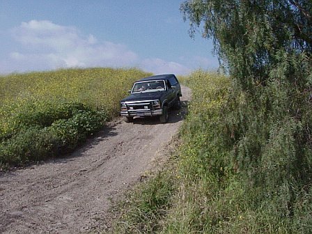 1981 Ford Bronco - A dark blue Ford Bronco navigates a dirt path through a field of wildflowers under a partly cloudy sky.