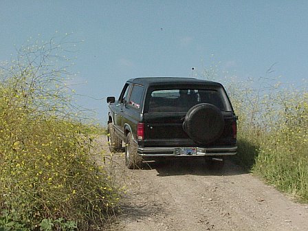 1981 Ford Bronco - Rear view of a black 1981 Ford Bronco driving on a dirt road with wildflowers.
