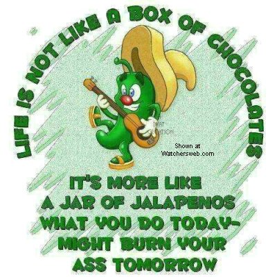 1991 Ford Bronco - Cartoon jalapeno playing guitar with a humorous quote about life's unpredictability.