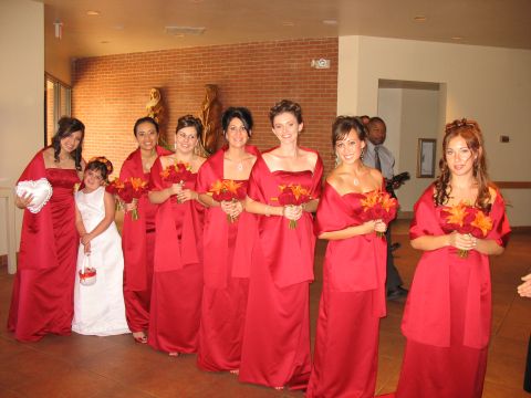 1997 Ford Probe - The lovely bridesmaids