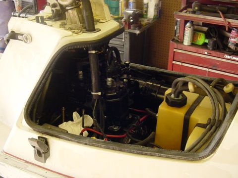 1995 Ford Mustang - The engine compartment of a boat reveals a yellow fluid reservoir and various black engine parts, suggesting maintenance or repair work.