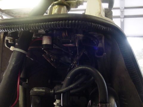 1995 Ford Mustang - A close-up view of the complex wiring and hoses within a vehicle's engine compartment.