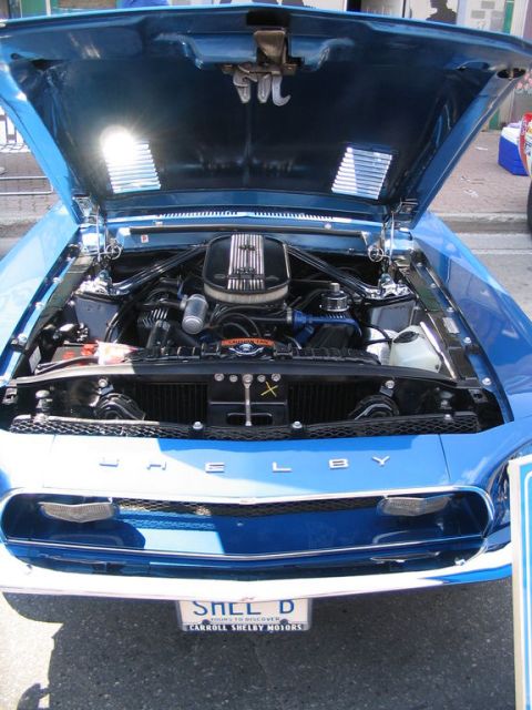 1993 Ford Taurus - A blue Shelby Mustang is displayed with its hood open, its powerful V8 engine and distinctive Shelby grille badging.