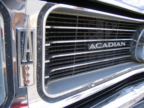 1993 Ford Taurus - Close-up of a vehicle's front grille, the 'ACADIAN' nameplate and a decorative emblem with maple leaves.