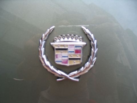 1993 Ford Taurus - Close-up of a Cadillac emblem on a vehicle's exterior.