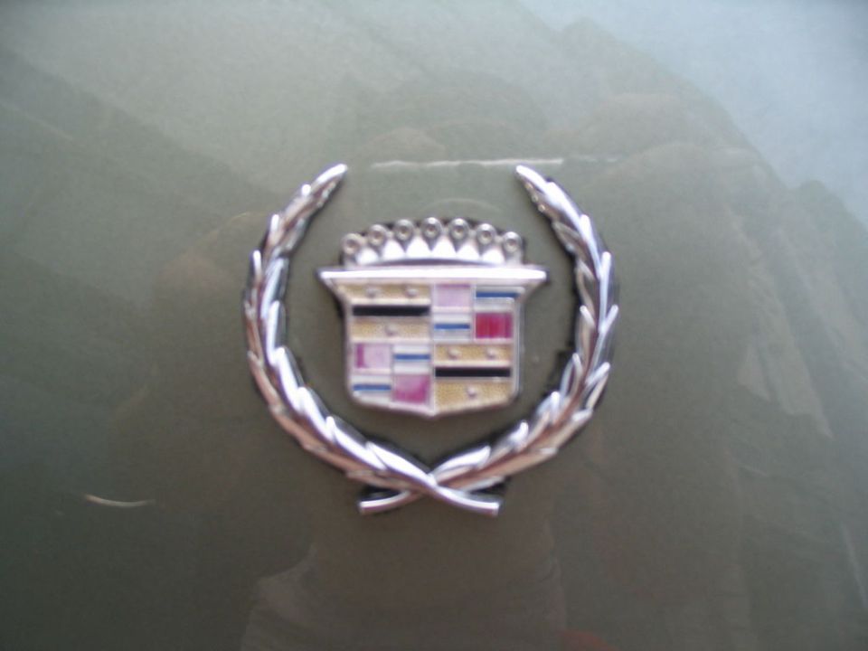 Cadillac crest emblem on a car's body panel