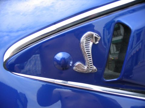 1993 Ford Taurus - Close-up of a blue vehicle's side panel, showing a chrome cobra emblem and a circular fuel cap.