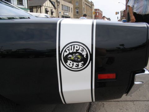 1993 Ford Taurus - A black car with a white stripe and a Super Bee emblem is seen from the rear quarter panel.