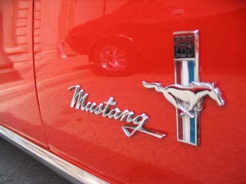 1993 Ford Taurus - Close-up of a red car's fender showing the Mustang emblem and a 289 badge.