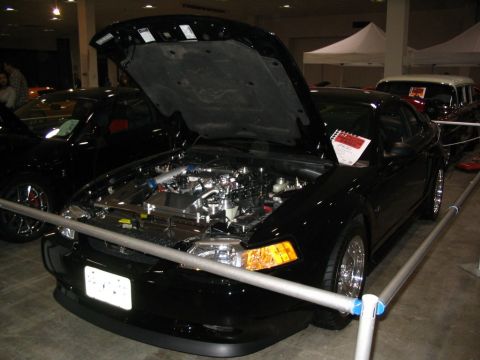 1993 Ford Taurus - A black coupe is displayed with its hood open, revealing a detailed engine bay and chrome wheels.