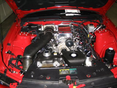 1993 Ford Taurus - The engine bay of a red vehicle, a supercharger and custom modifications, is shown with the hood open.