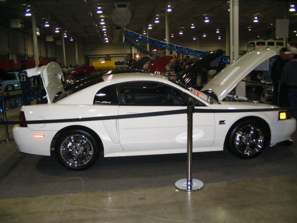 White Ford Mustang with black stripe, hood and trunk open, at a car show