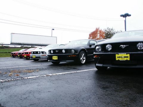 2001 Mercury Grand Marquis - A row of Ford Mustangs are parked in a lot on a cloudy day. The closest car has a dealer plate.
