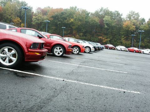 2001 Mercury Grand Marquis - Multiple Ford Mustangs are parked in a lot, with a row of red vehicles in the foreground.