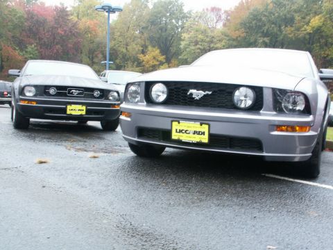 2001 Mercury Grand Marquis - Two Ford Mustangs are parked in a lot, one gray and one black, with "LICCARDI" license plates visible.