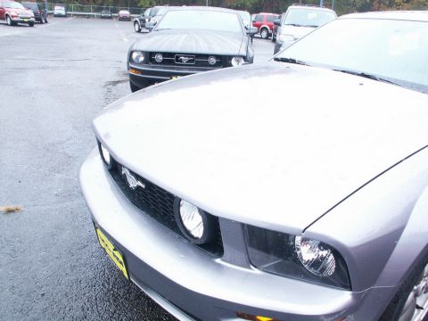 2001 Mercury Grand Marquis - Two Ford Mustangs parked in a lot on a wet day.