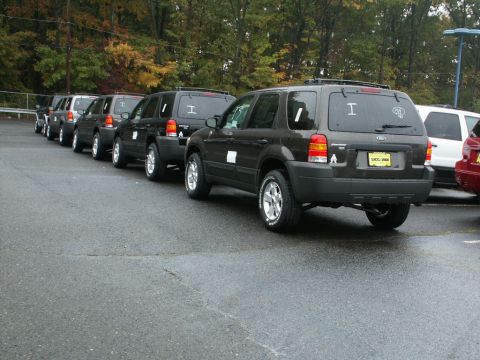 2001 Mercury Grand Marquis - Multiple Ford Escape SUVs are lined up in a parking lot on a cloudy day.