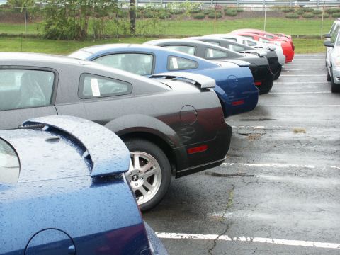2001 Mercury Grand Marquis - Multiple Ford Mustangs are parked in a row on a wet lot, with a fence and trees in the background.