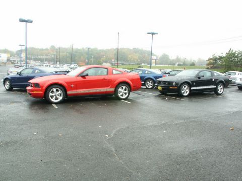 2001 Mercury Grand Marquis - A red 2005 Ford Mustang coupe is seen parked in a lot alongside other vehicles.
