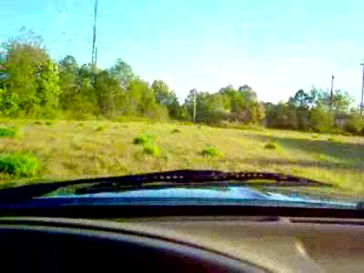 1996 Ford Bronco - a little 4 wheeling