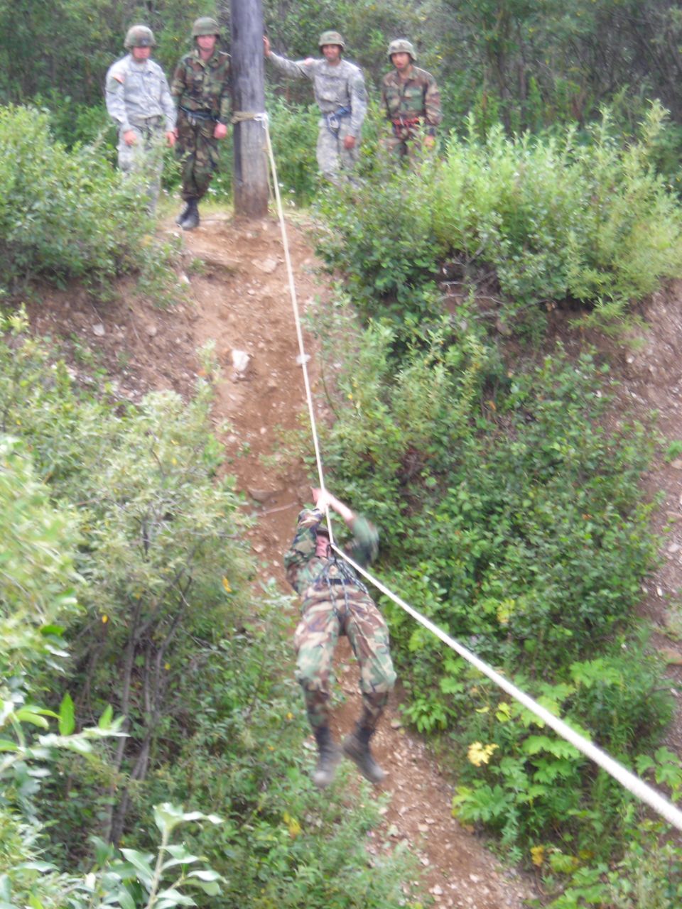 Soldiers rappelling down a wooded hillside using a rope; four soldiers stand at the top
