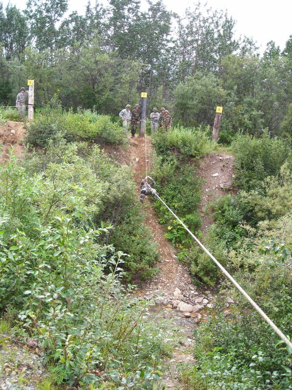 Soldiers rappelling down a wooded slope with yellow markers