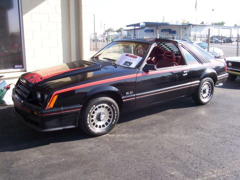 2002 Ford Mustang - This black 1985 Ford Mustang coupe features distinctive red racing stripes and a prominent 5.0 badge, indicating its powerful engine.