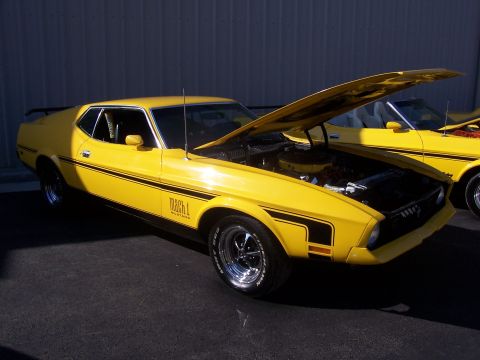 2002 Ford Mustang - Two yellow Ford Mustangs, one a 1971 Mach 1 with its hood open, parked outdoors.
