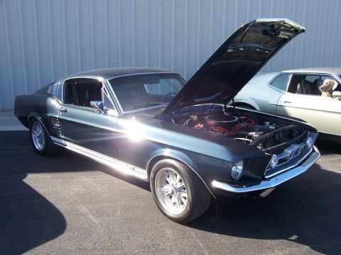 2002 Ford Mustang - Classic Mustang Fastback with hood up, parked next to another vehicle. A dog is visible in the other car's window.