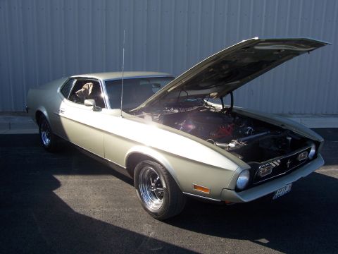 2002 Ford Mustang - A dog sits in a classic Ford Mustang while the hood is open, revealing the engine.