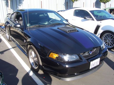 2002 Ford Mustang - A black 2002 Ford Mustang with a blue stripe and hood scoop is parked next to a white Mustang.