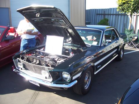 2002 Ford Mustang - Classic Ford Mustang on display with its hood open, revealing the engine compartment.