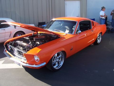 2002 Ford Mustang - This classic Mustang fastback, likely a 1967 model, is displayed with its hood open, revealing the engine compartment.