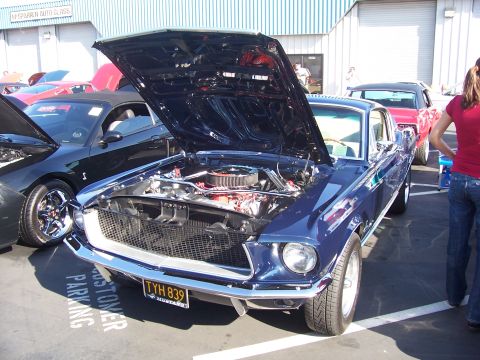2002 Ford Mustang - A classic blue Mustang is displayed with its hood open, parked in a lot with other vehicles.