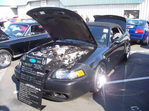 2002 Ford Mustang - A black convertible is displayed with its hood open, revealing the engine and a descriptive sign.