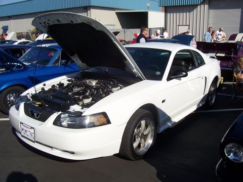 2002 Ford Mustang - A white coupe with its hood open, parked at an outdoor event with other vehicles.