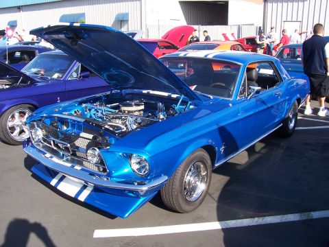 2002 Ford Mustang - A bright blue 1967 Ford Mustang coupe is displayed with its hood open, revealing the engine bay, alongside other vehicles.