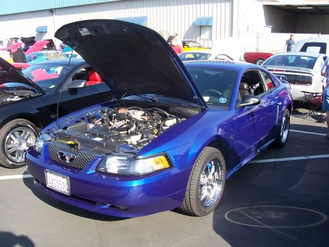2002 Ford Mustang - A blue coupe with its hood open is displayed at an outdoor event with other vehicles.