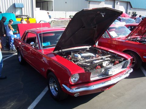 2002 Ford Mustang - A classic red Ford Mustang is displayed with its hood open, revealing a modified engine bay.