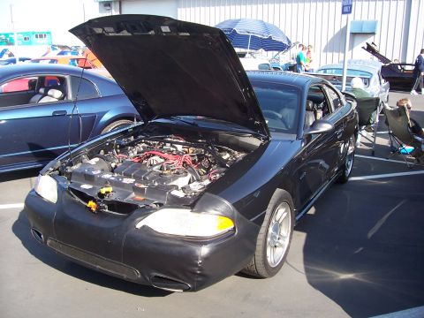 2002 Ford Mustang - A black 2002 Ford Mustang is displayed with its hood open, revealing the engine bay. Another blue Mustang is visible in the background.