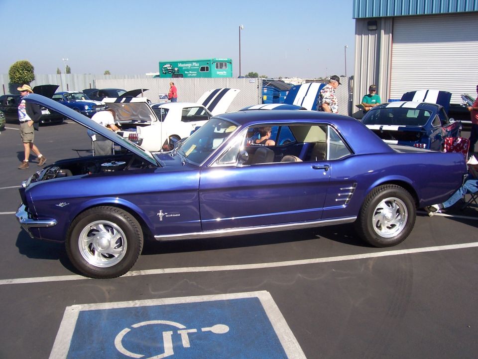 Blue classic Ford Mustang hardtop with hood up at an outdoor car show, side view