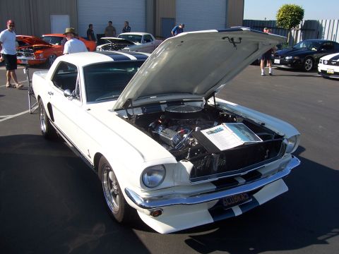 2002 Ford Mustang - A white 1965 Ford Mustang Shelby GT350 is displayed with its hood open, revealing the engine and distinctive racing stripes.