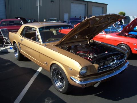 2002 Ford Mustang - A gold 1965 Ford Mustang coupe is displayed with its hood open, revealing the engine bay.